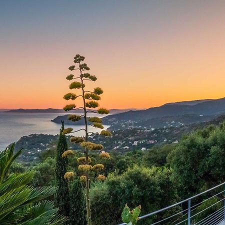 Vistazur Luxueux Appartement Avec Terrasse Et Piscine Le Le Rayol-Canadel-sur-Mer Exteriör bild