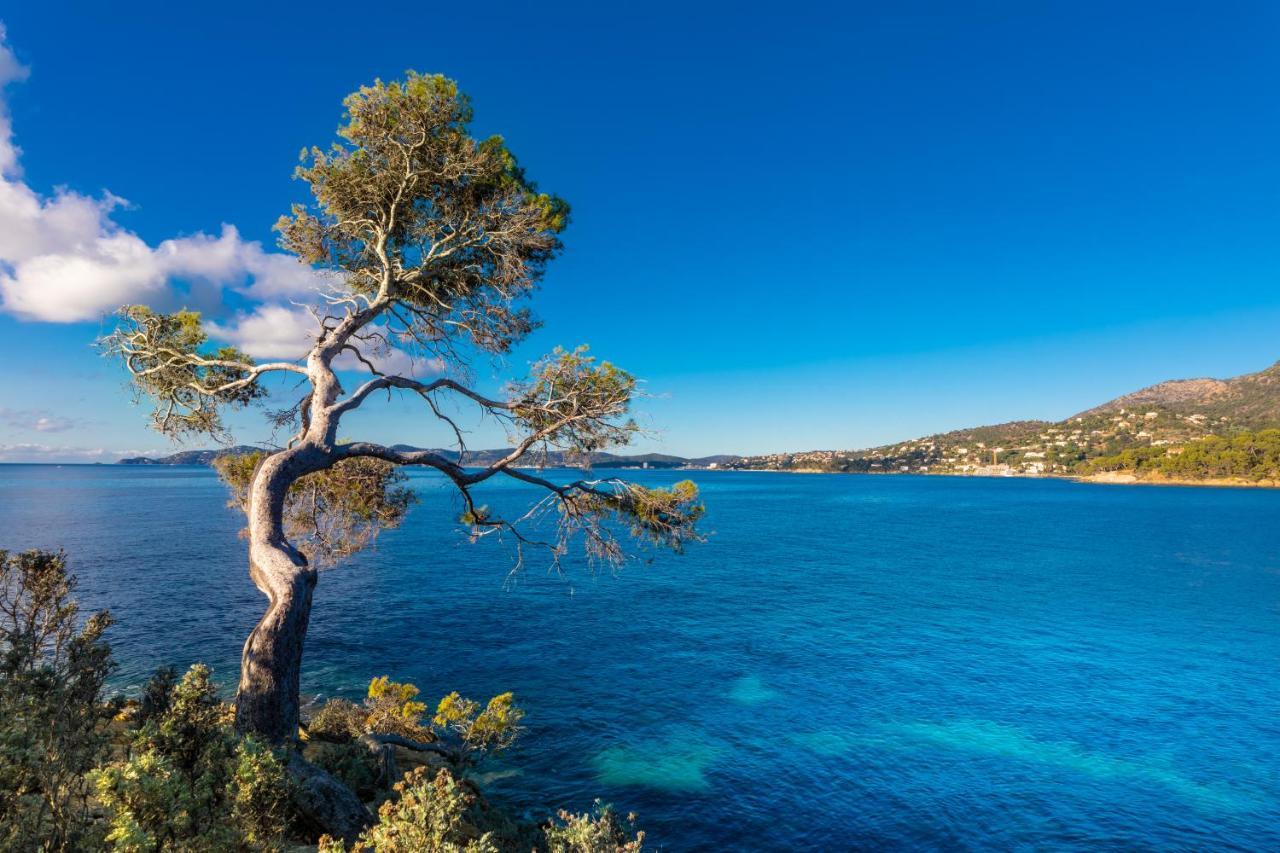 Vistazur Luxueux Appartement Avec Terrasse Et Piscine Le Le Rayol-Canadel-sur-Mer Exteriör bild
