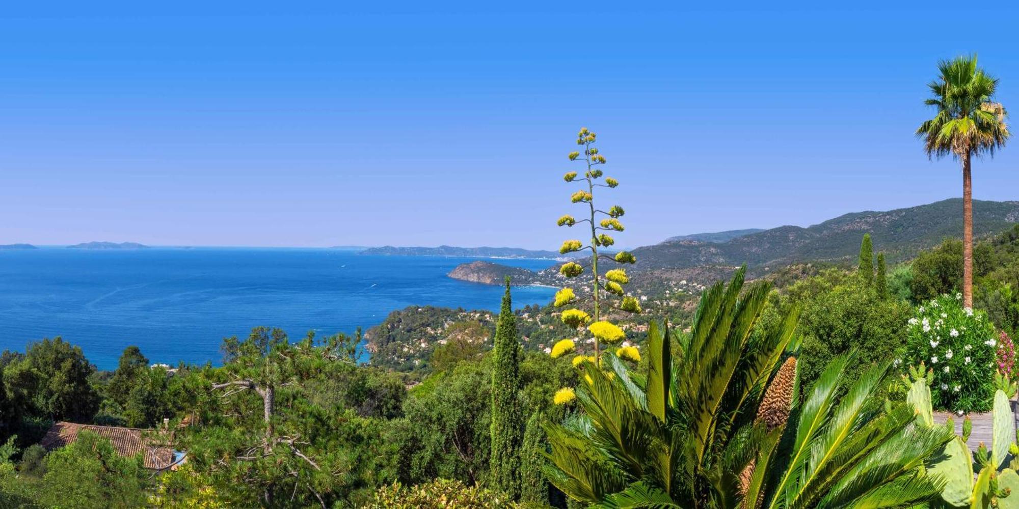 Vistazur Luxueux Appartement Avec Terrasse Et Piscine Le Le Rayol-Canadel-sur-Mer Exteriör bild